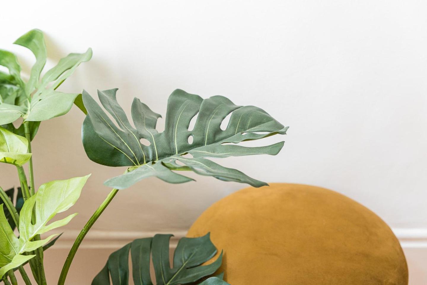 Guestready - Alegria Building Apartment Porto Bagian luar foto